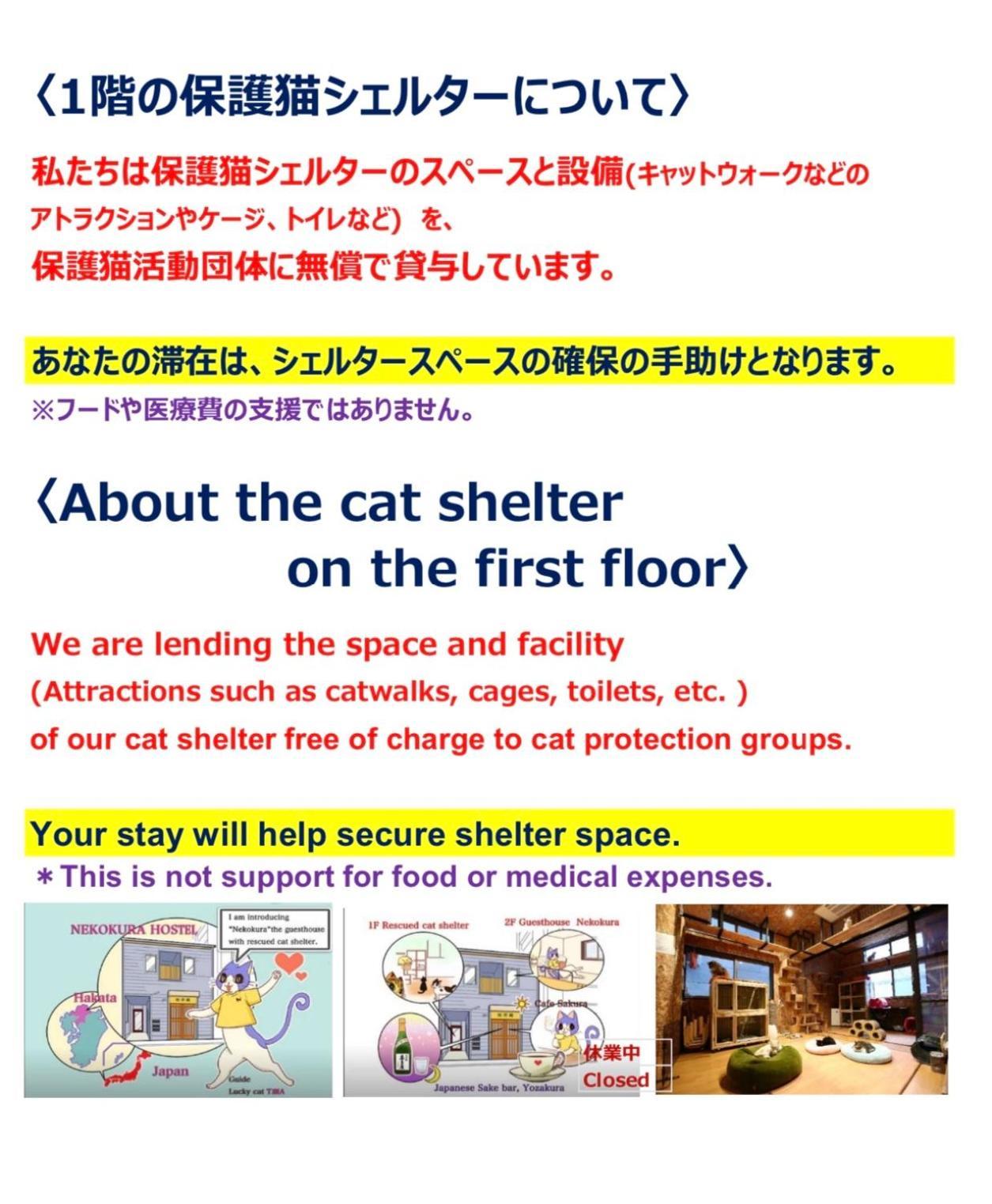 Nekokura Hostel Fukuoka  Eksteriør billede